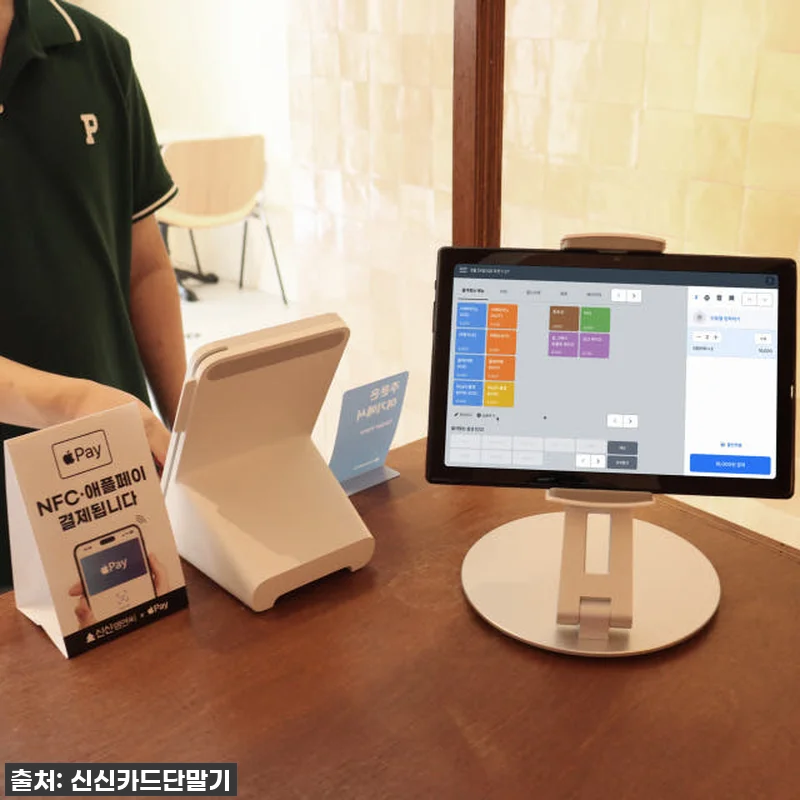 이 가격 실화?! 10원에 데려온 토 관련 이미지 1
