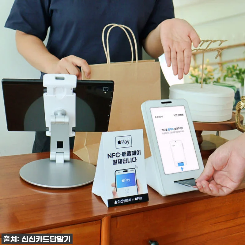 이 가격 실화?! 10원에 데려온 토 관련 이미지 3