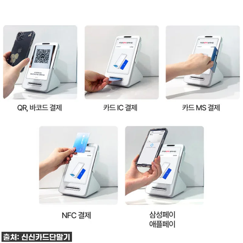 이 가격 실화?! 10원에 데려온 토 관련 이미지 9