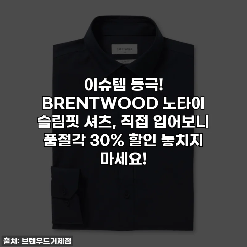 이슈템 등극! BRENTWOOD 노타이 슬림핏 셔츠, 직접 입어보니 품절각 30% 할인 놓치지 마세요!