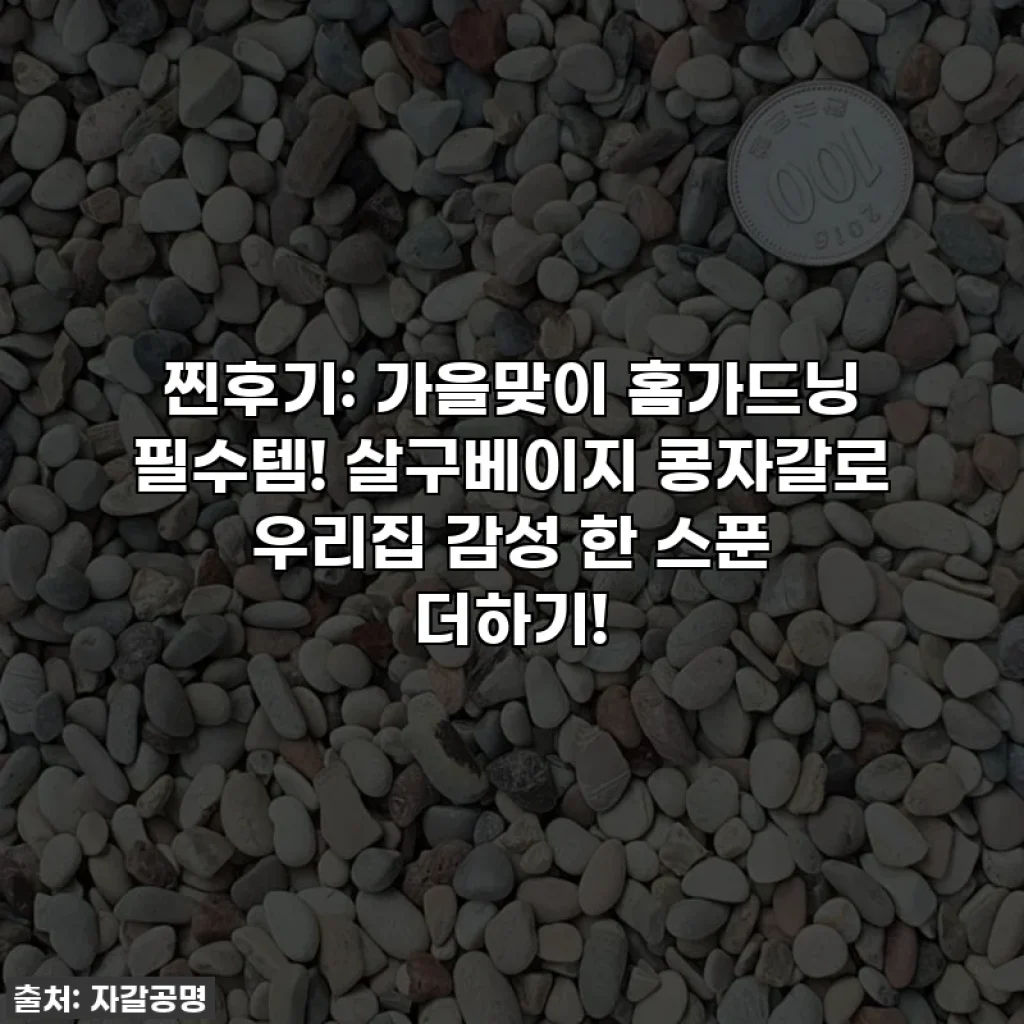 찐후기: 가을맞이 홈가드닝 필수템! 살구베이지 콩자갈로 우리집 감성 한 스푼 더하기!