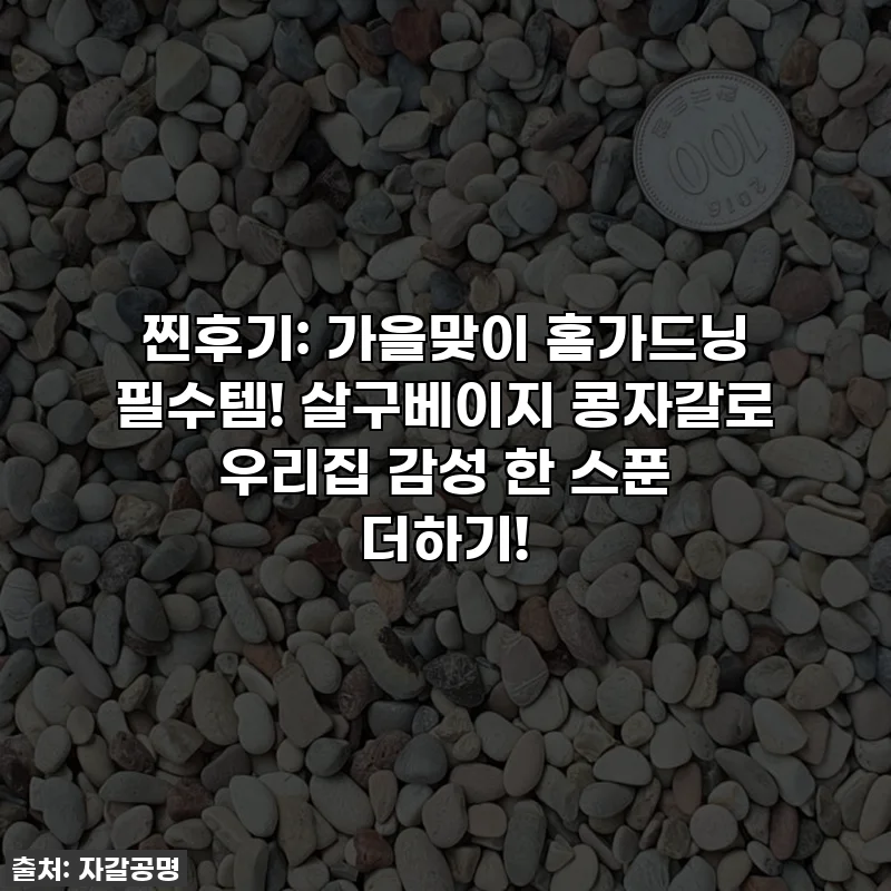 찐후기: 가을맞이 홈가드닝 필수템! 살구베이지 콩자갈로 우리집 감성 한 스푼 더하기!