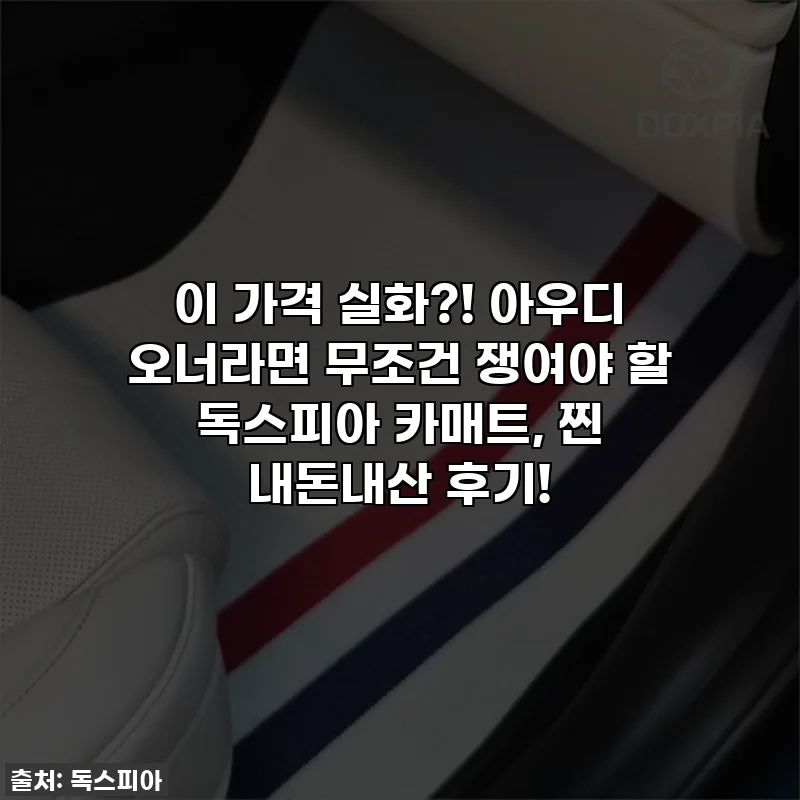 이 가격 실화?! 아우디 오너라면 무조건 쟁여야 할 독스피아 카매트, 찐 내돈내산 후기!
