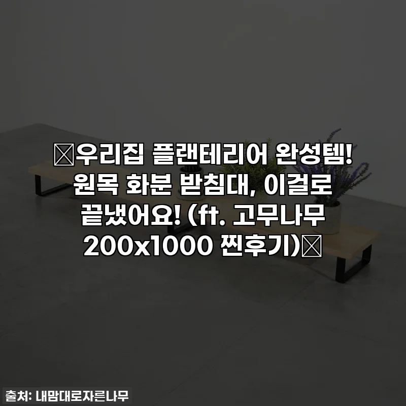 🌱우리집 플랜테리어 완성템! 원목 화분 받침대, 이걸로 끝냈어요! (ft. 고무나무 200x1000 찐후기)🌿