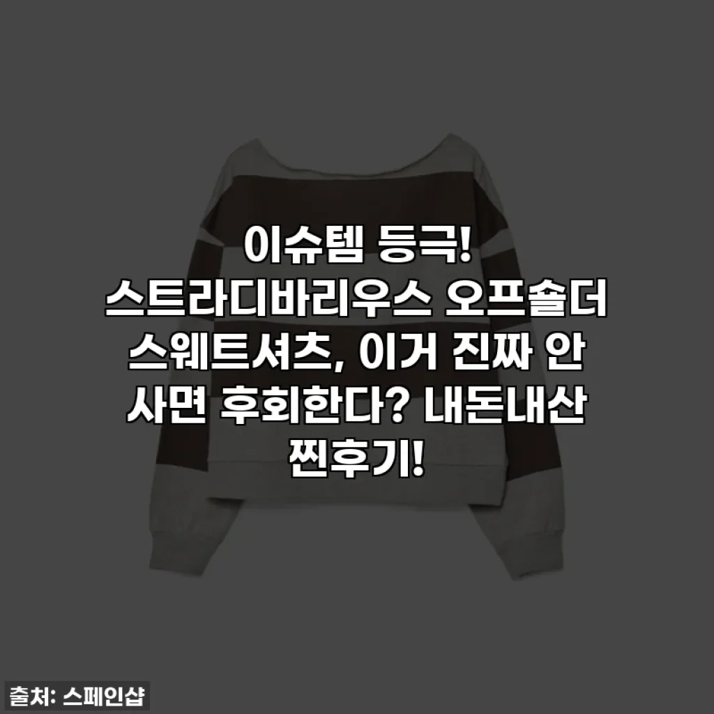 이슈템 등극! 스트라디바리우스 오프숄더 스웨트셔츠, 이거 진짜 안 사면 후회한다? 내돈내산 찐후기!