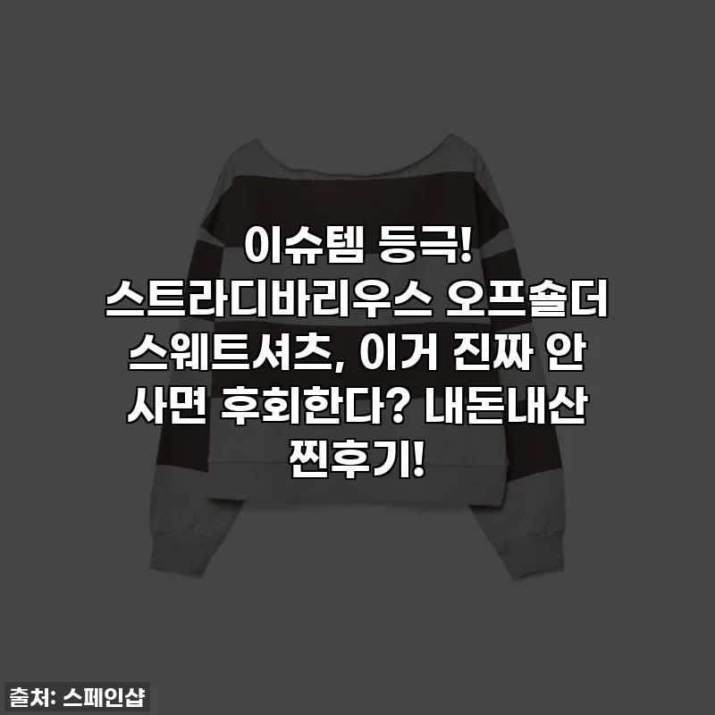 이슈템 등극! 스트라디바리우스 오프숄더 스웨트셔츠, 이거 진짜 안 사면 후회한다? 내돈내산 찐후기!