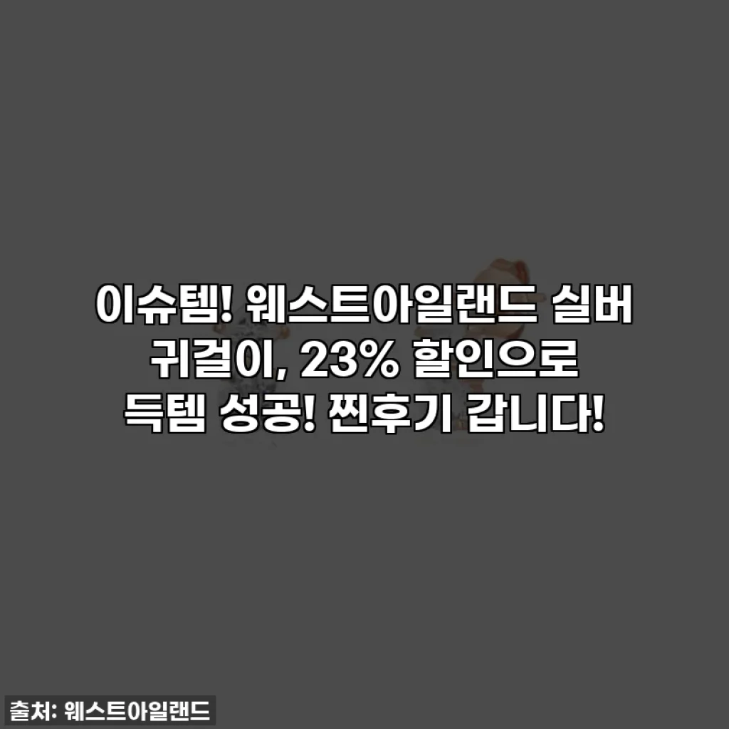 이슈템! 웨스트아일랜드 실버 귀걸이, 23% 할인으로 득템 성공! 찐후기 갑니다!
