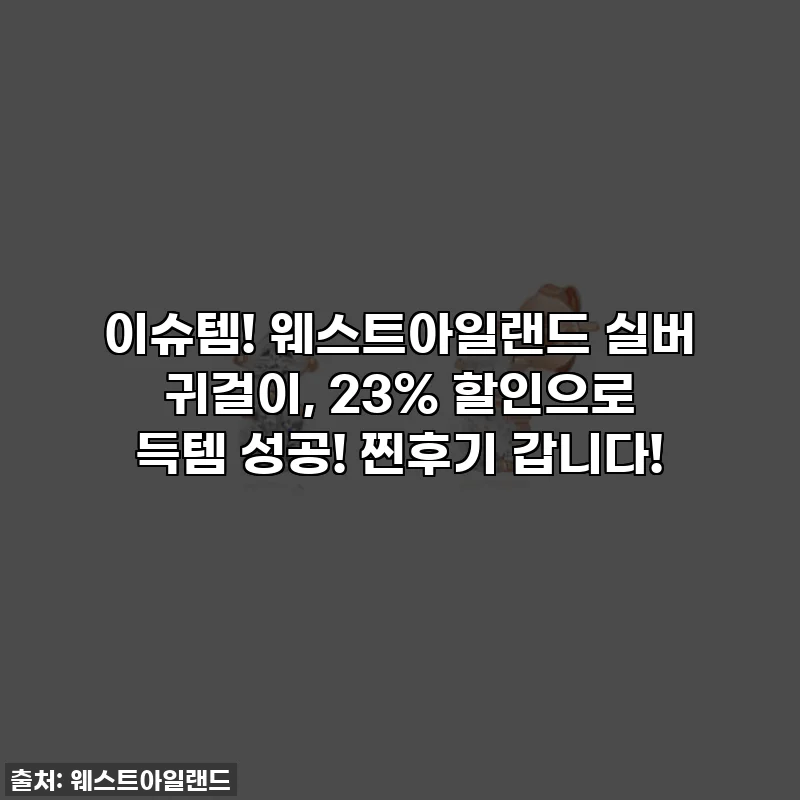 이슈템! 웨스트아일랜드 실버 귀걸이, 23% 할인으로 득템 성공! 찐후기 갑니다!