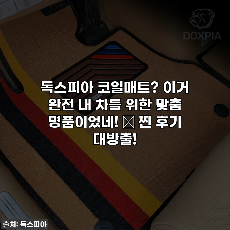 독스피아 코일매트? 이거 완전 내 차를 위한 맞춤 명품이었네! ✨ 찐 후기 대방출!