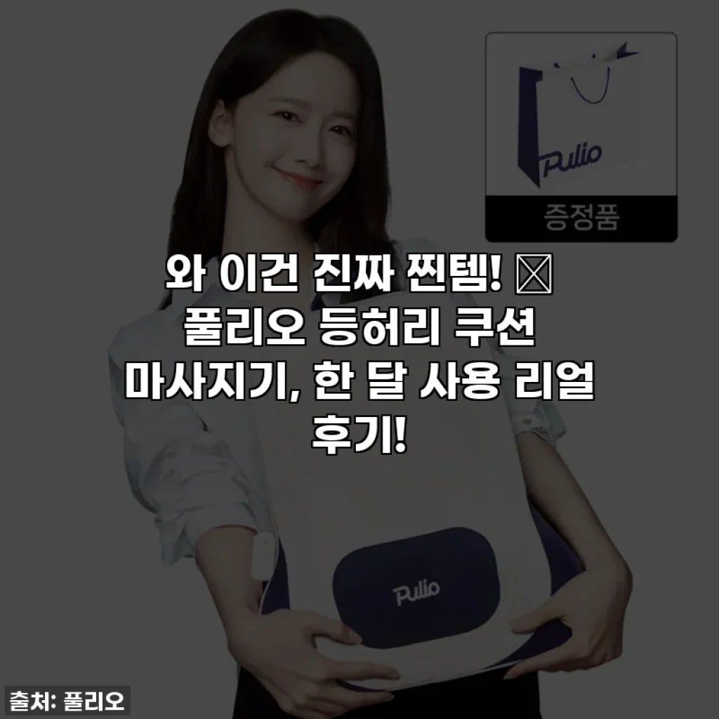 와 이건 진짜 찐템! ✨ 풀리오 등허리 쿠션 마사지기, 한 달 사용 리얼 후기!
