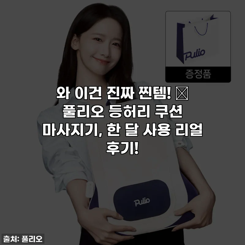 와 이건 진짜 찐템! ✨ 풀리오 등허리 쿠션 마사지기, 한 달 사용 리얼 후기!