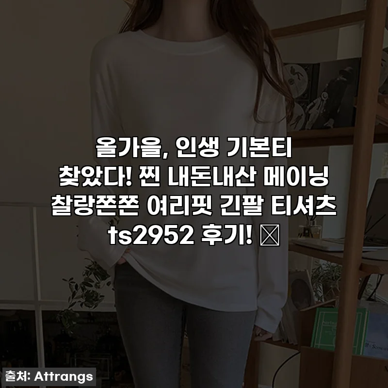 올가을, 인생 기본티 찾았다! 찐 내돈내산 메이닝 찰랑쫀쫀 여리핏 긴팔 티셔츠 ts2952 후기! ✨