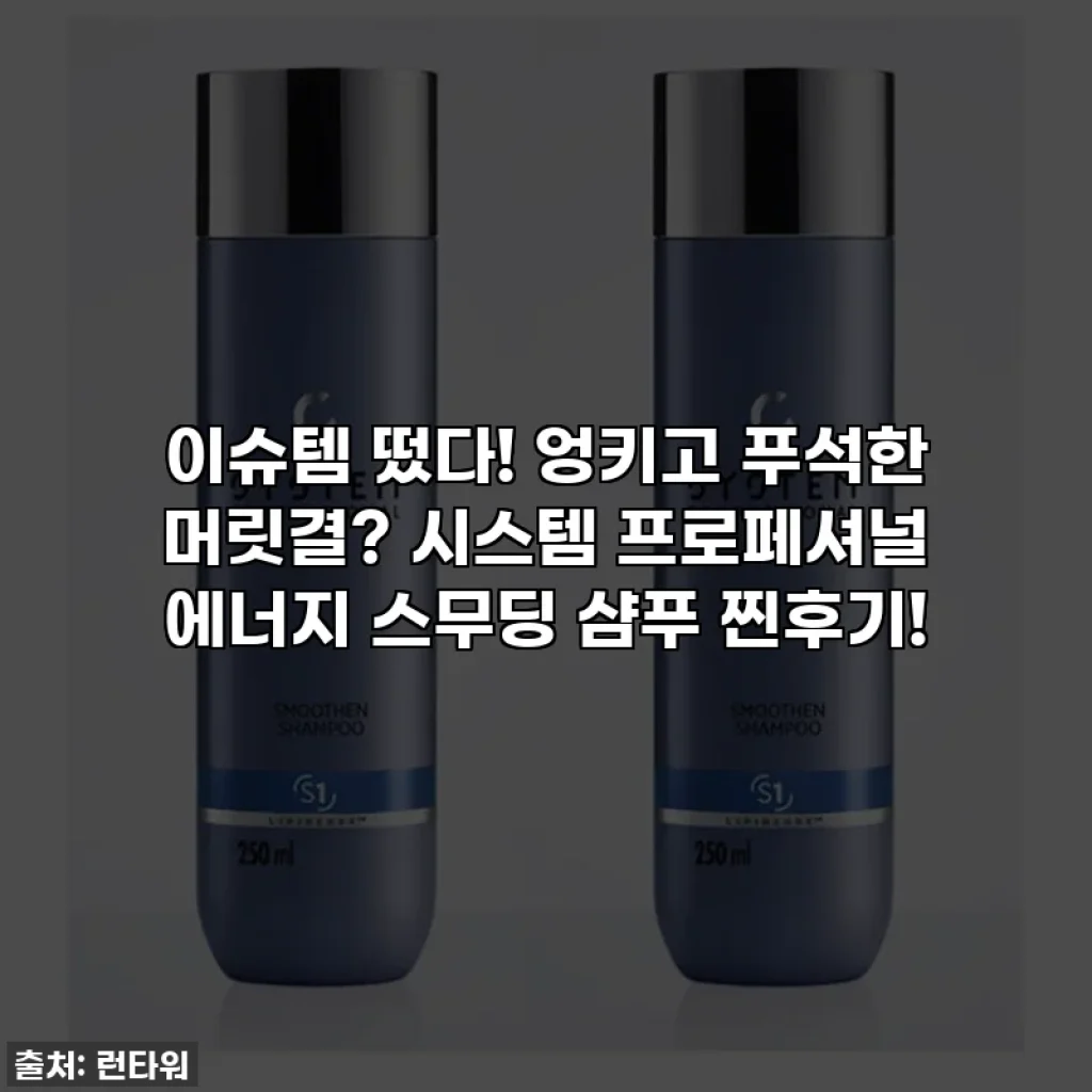 이슈템 떴다! 엉키고 푸석한 머릿결? 시스템 프로페셔널 에너지 스무딩 샴푸 찐후기!