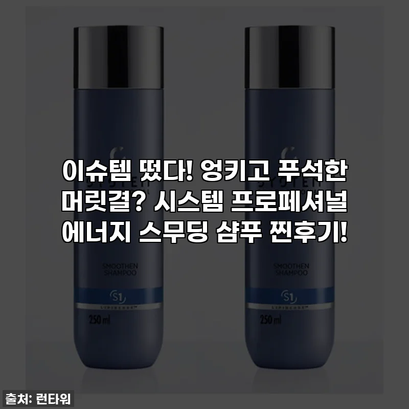이슈템 떴다! 엉키고 푸석한 머릿결? 시스템 프로페셔널 에너지 스무딩 샴푸 찐후기!