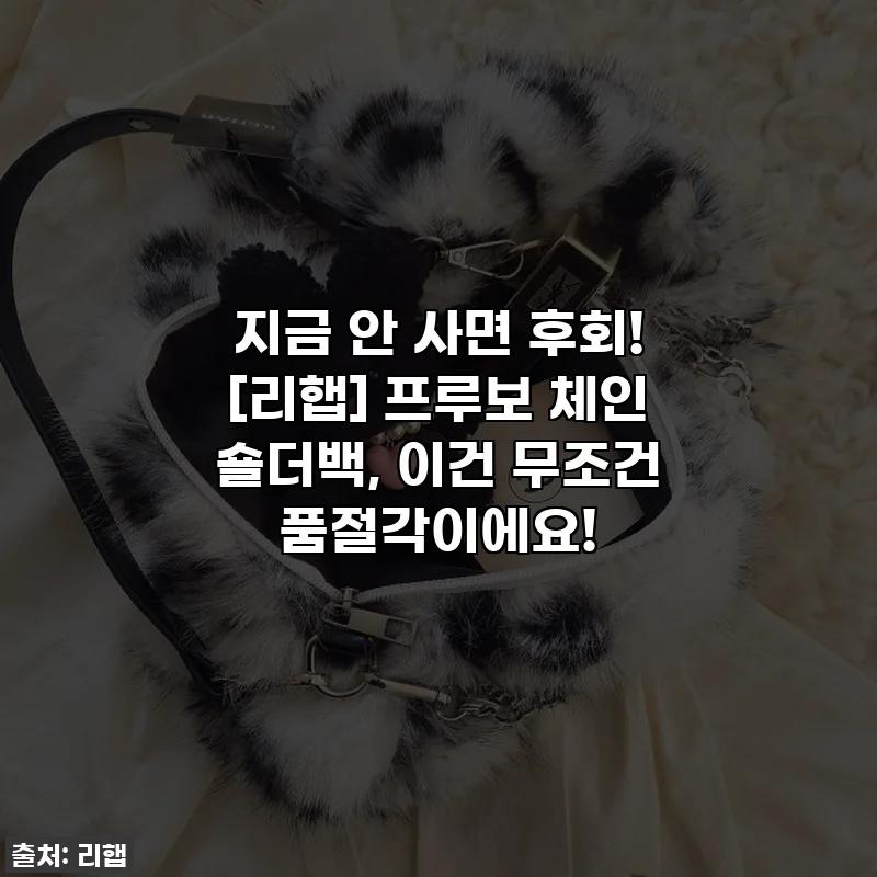 지금 안 사면 후회! [리햅] 프루보 체인 숄더백, 이건 무조건 품절각이에요!