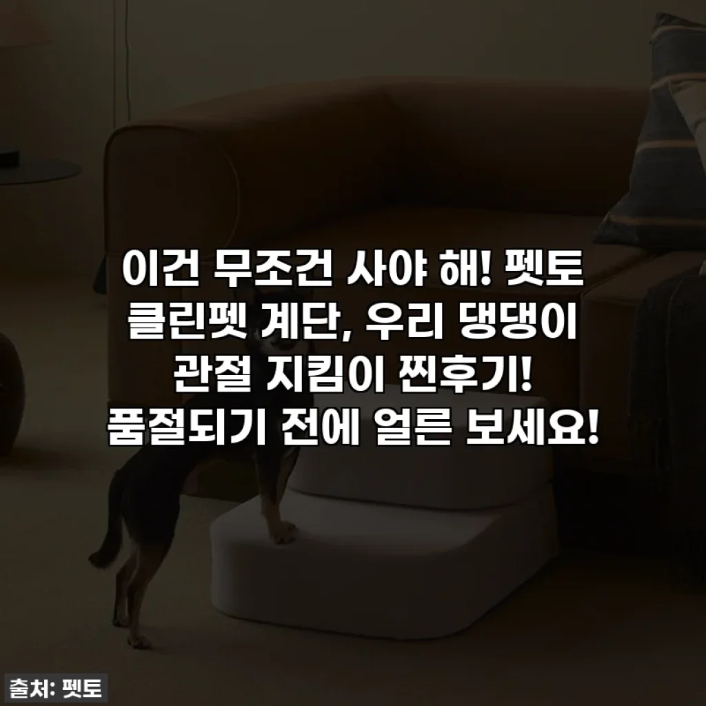 이건 무조건 사야 해! 펫토 클린펫 계단, 우리 댕댕이 관절 지킴이 찐후기! 품절되기 전에 얼른 보세요!