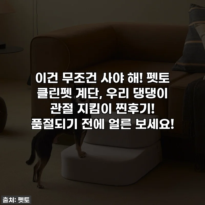 이건 무조건 사야 해! 펫토 클린펫 계단, 우리 댕댕이 관절 지킴이 찐후기! 품절되기 전에 얼른 보세요!