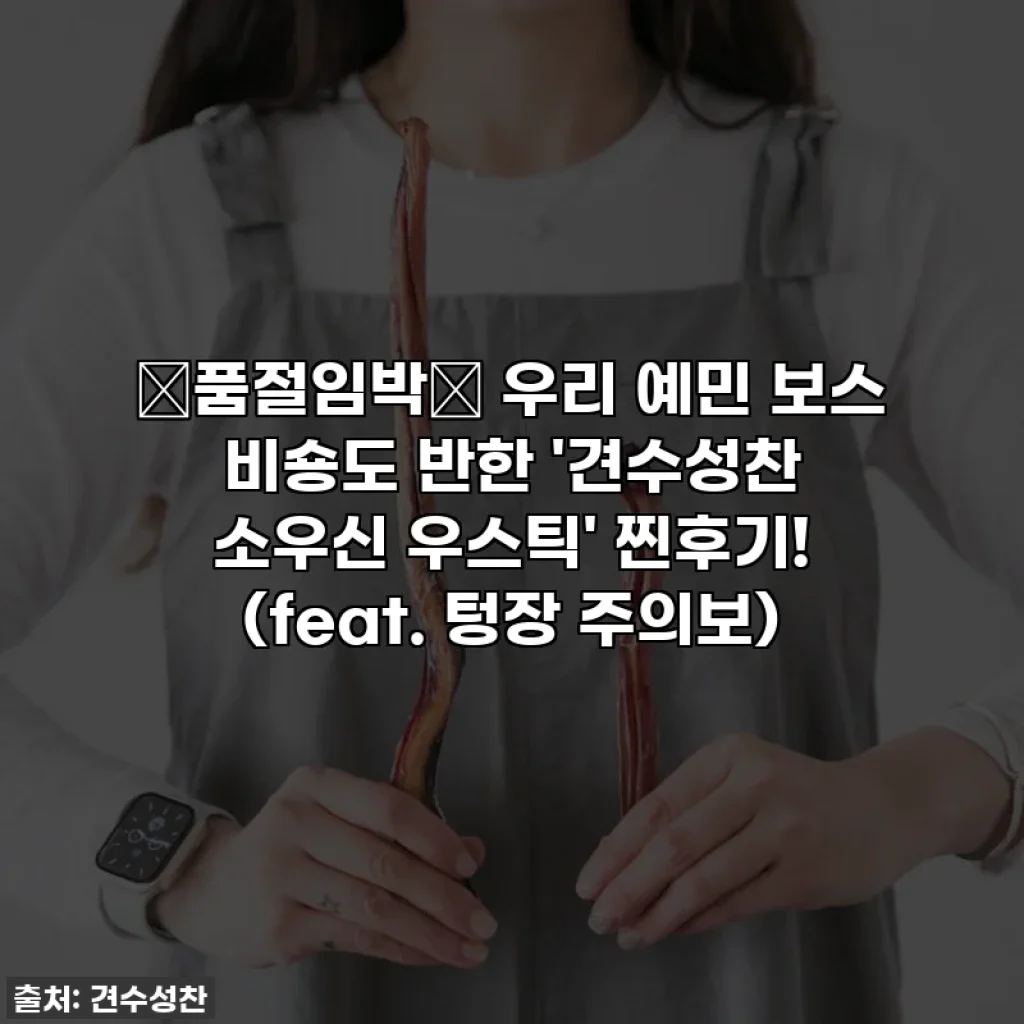 💥품절임박💥 우리 예민 보스 비숑도 반한 '견수성찬 소우신 우스틱' 찐후기! (feat. 텅장 주의보)