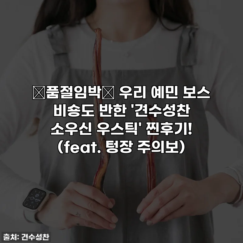 💥품절임박💥 우리 예민 보스 비숑도 반한 '견수성찬 소우신 우스틱' 찐후기! (feat. 텅장 주의보)