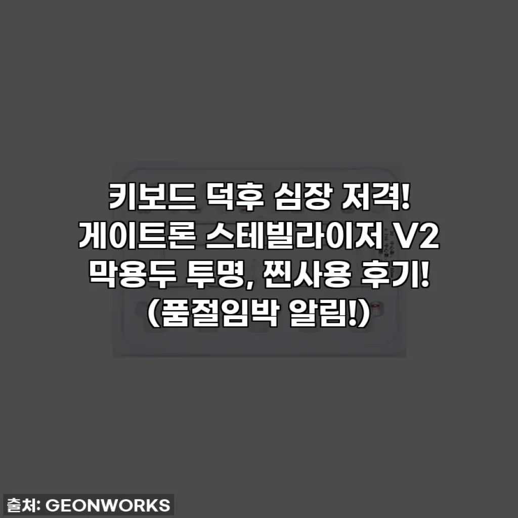 키보드 덕후 심장 저격! 게이트론 스테빌라이저 V2 막용두 투명, 찐사용 후기! (품절임박 알림!)