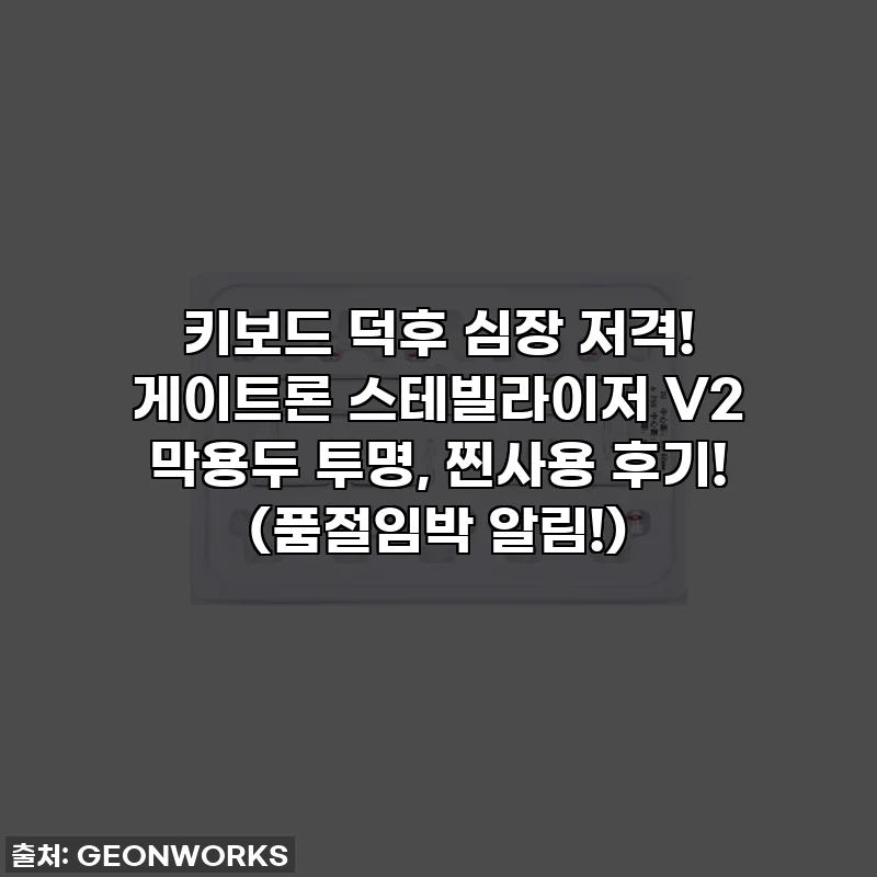 키보드 덕후 심장 저격! 게이트론 스테빌라이저 V2 막용두 투명, 찐사용 후기! (품절임박 알림!)