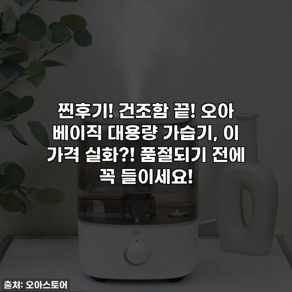 찐후기! 건조함 끝! 오아 베이직 대용량 가습기, 이 가격 실화?! 품절되기 전에 꼭 들이세요!
