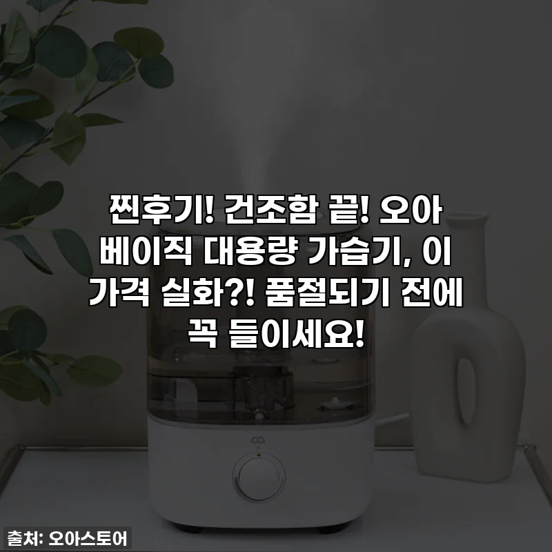 찐후기! 건조함 끝! 오아 베이직 대용량 가습기, 이 가격 실화?! 품절되기 전에 꼭 들이세요!
