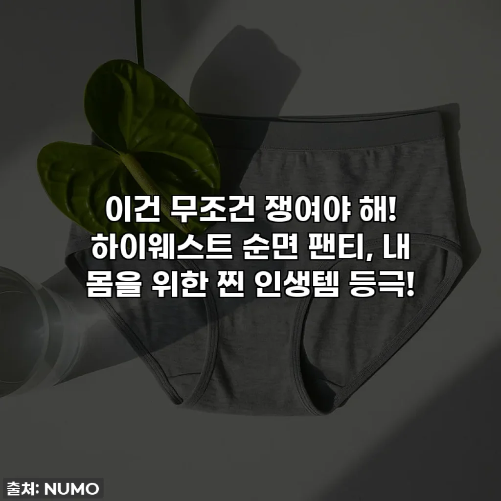 이건 무조건 쟁여야 해! 하이웨스트 순면 팬티, 내 몸을 위한 찐 인생템 등극!