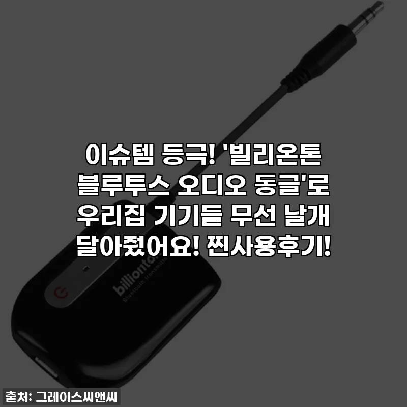 이슈템 등극! '빌리온톤 블루투스 오디오 동글'로 우리집 기기들 무선 날개 달아줬어요! 찐사용후기!