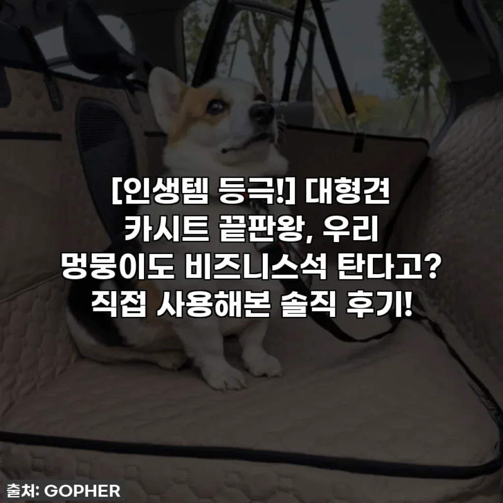 [인생템 등극!] 대형견 카시트 끝판왕, 우리 멍뭉이도 비즈니스석 탄다고? 직접 사용해본 솔직 후기!