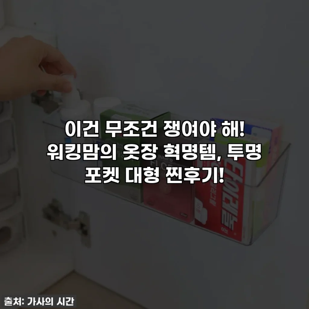이건 무조건 쟁여야 해! 워킹맘의 옷장 혁명템, 투명 포켓 대형 찐후기!