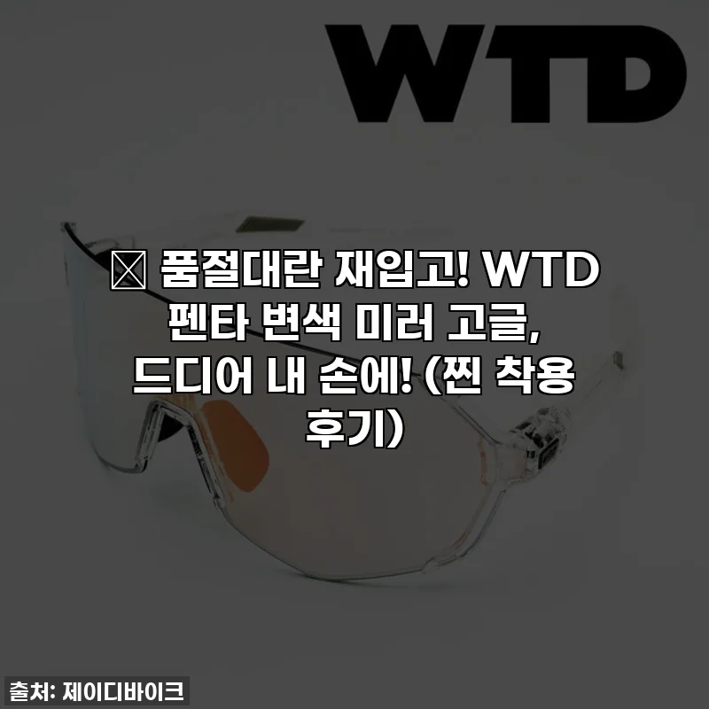 ✨ 품절대란 재입고! WTD 펜타 변색 미러 고글, 드디어 내 손에! (찐 착용 후기)