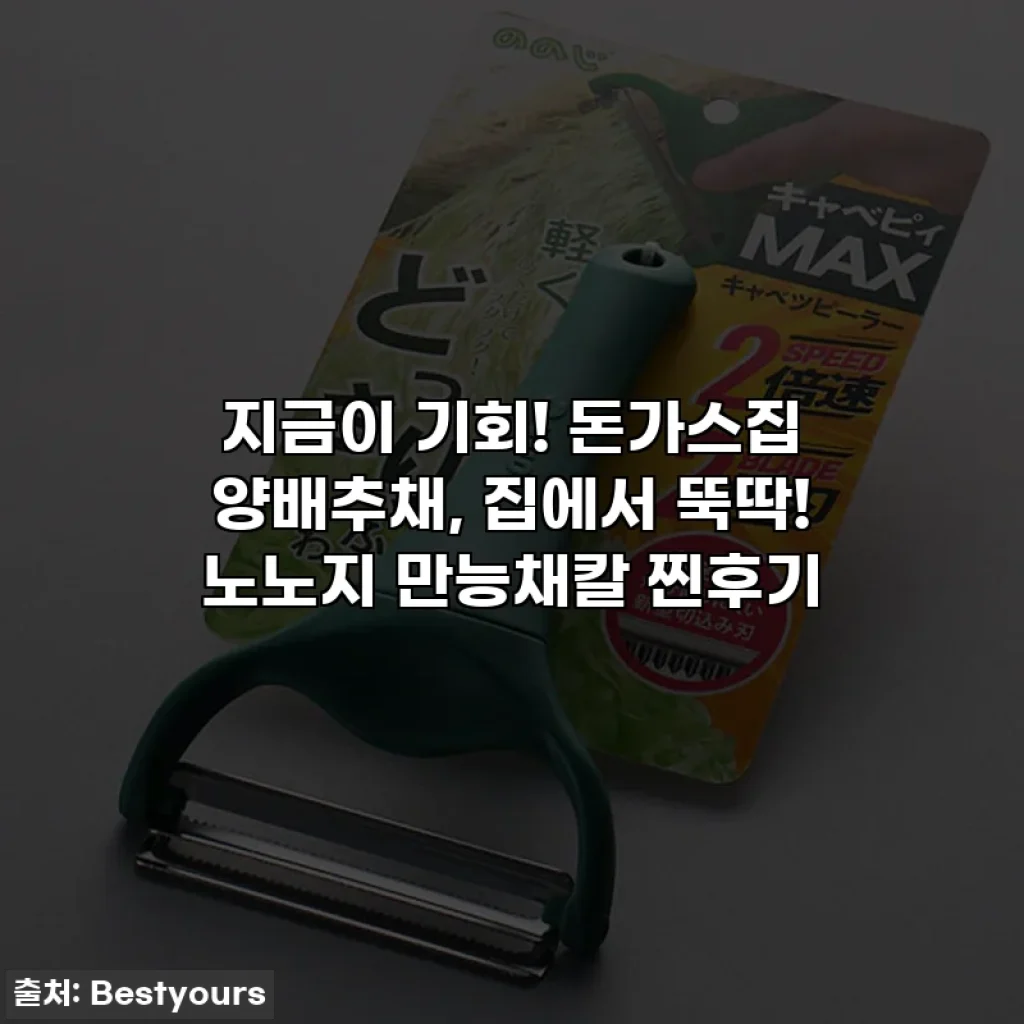지금이 기회! 돈가스집 양배추채, 집에서 뚝딱! 노노지 만능채칼 찐후기