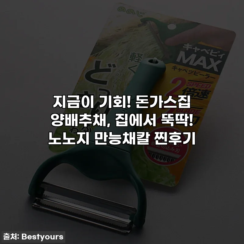 지금이 기회! 돈가스집 양배추채, 집에서 뚝딱! 노노지 만능채칼 찐후기