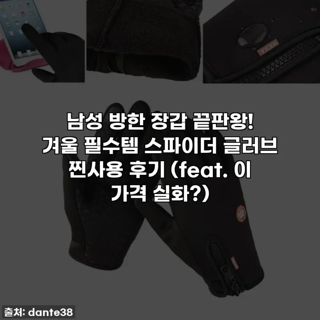 남성 방한 장갑 끝판왕! 겨울 필수템 스파이더 글러브 찐사용 후기 (feat. 이 가격 실화?)