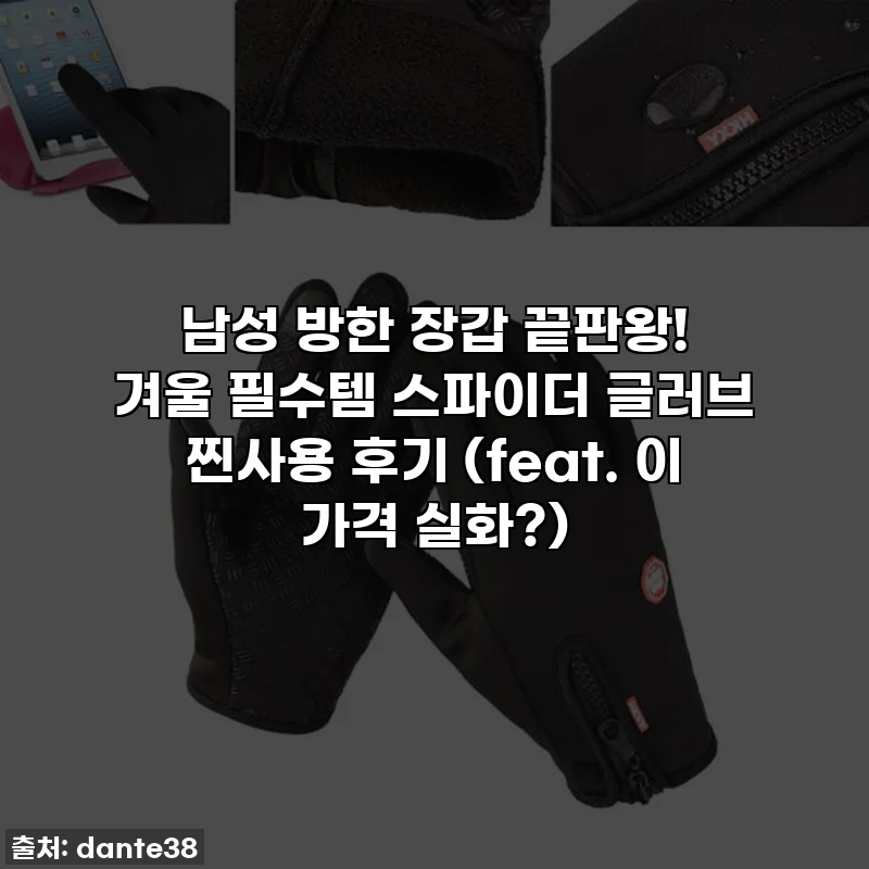 남성 방한 장갑 끝판왕! 겨울 필수템 스파이더 글러브 찐사용 후기 (feat. 이 가격 실화?)