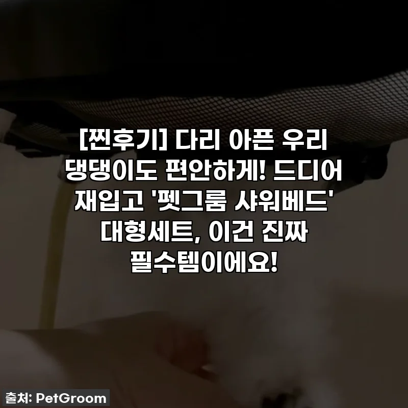 [찐후기] 다리 아픈 우리 댕댕이도 편안하게! 드디어 재입고 '펫그룸 샤워베드' 대형세트, 이건 진짜 필수템이에요!