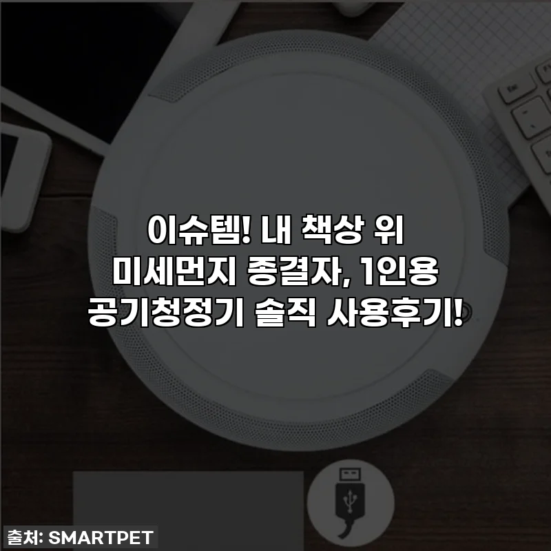 이슈템! 내 책상 위 미세먼지 종결자, 1인용 공기청정기 솔직 사용후기!