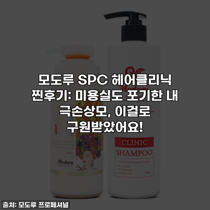 모도루 SPC 헤어클리닉 찐후기: 미용실도 포기한 내 극손상모, 이걸로 구원받았어요!