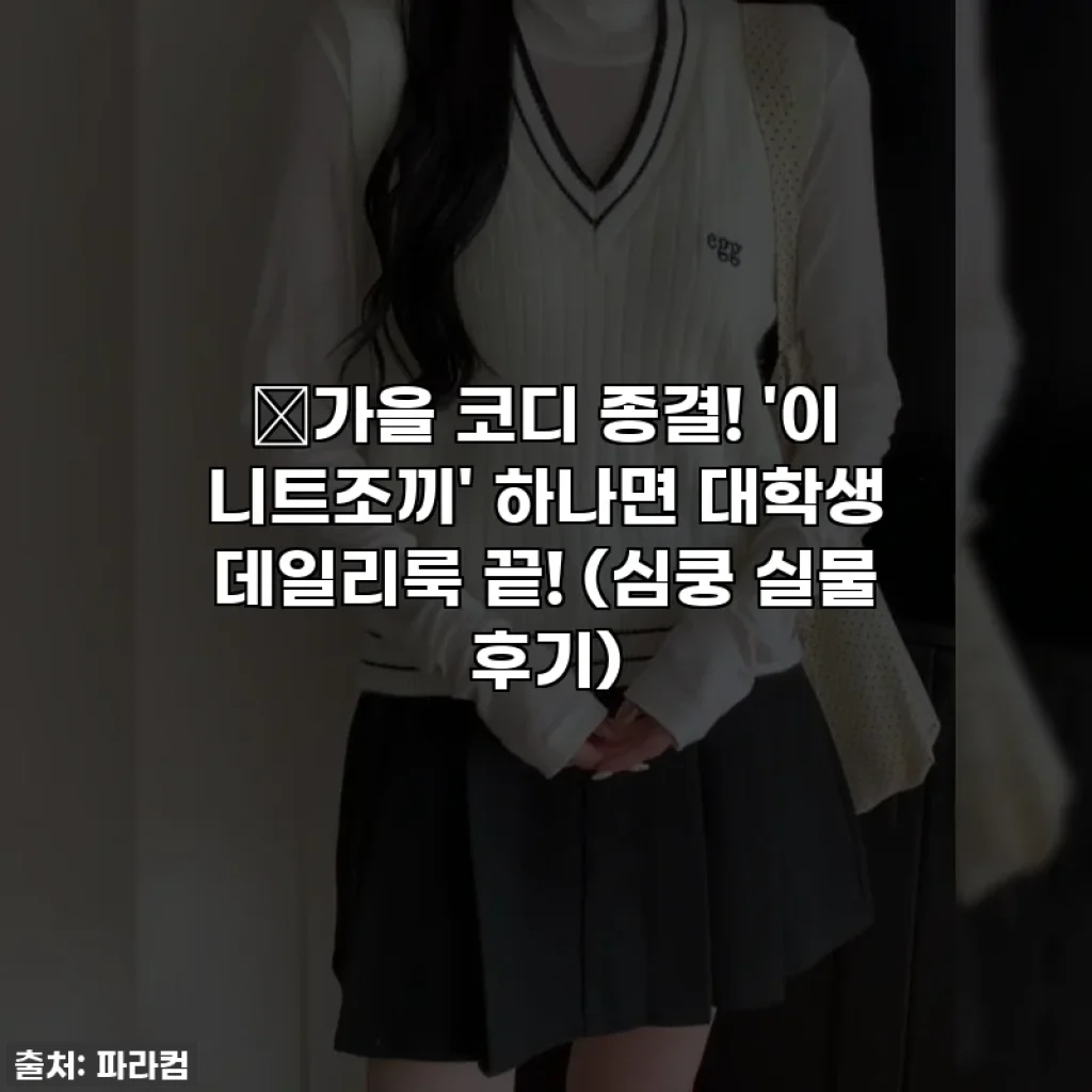 🍂가을 코디 종결! '이 니트조끼' 하나면 대학생 데일리룩 끝! (심쿵 실물 후기)