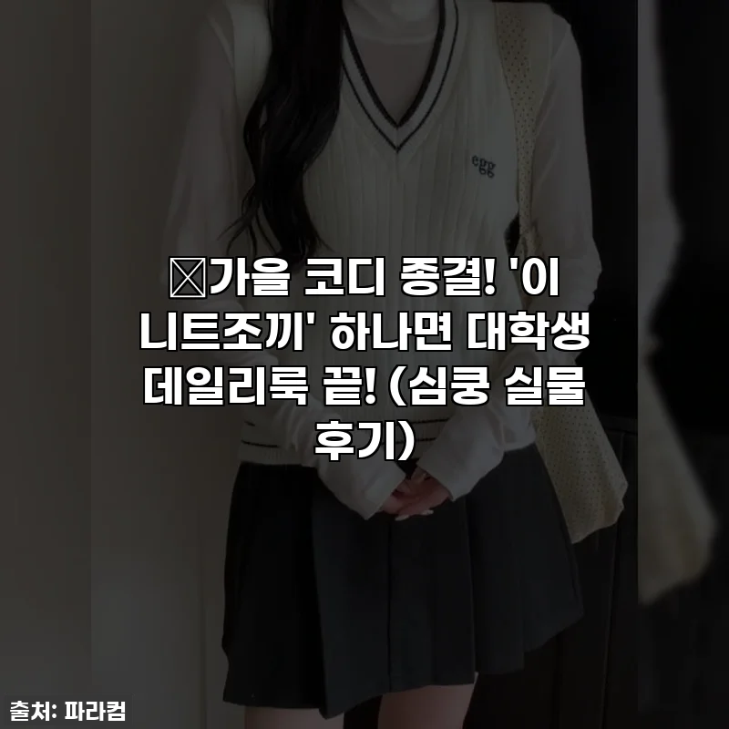🍂가을 코디 종결! '이 니트조끼' 하나면 대학생 데일리룩 끝! (심쿵 실물 후기)