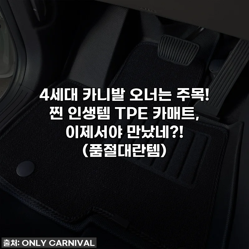 4세대 카니발 오너는 주목! 찐 인생템 TPE 카매트, 이제서야 만났네?! (품절대란템)