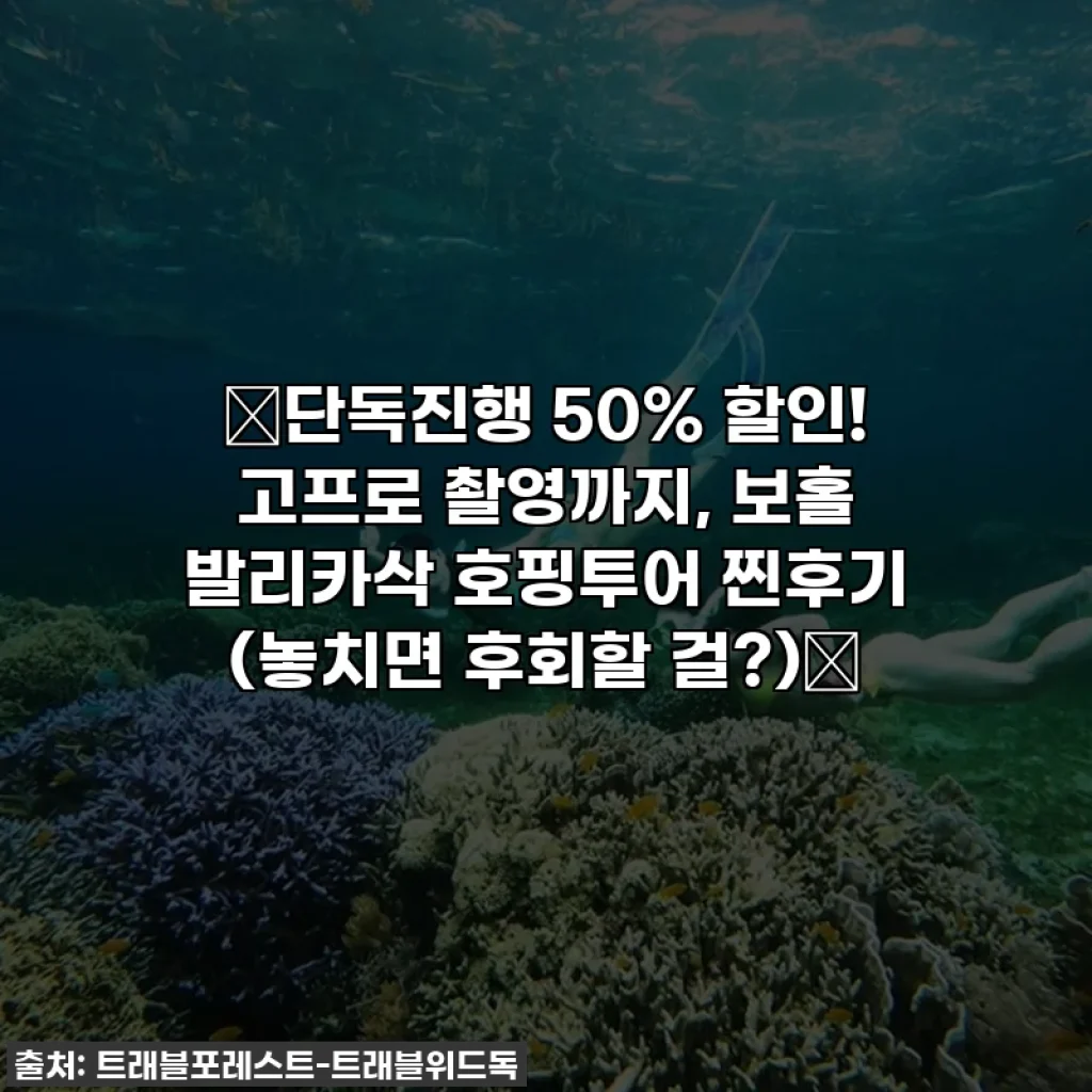 🔥단독진행 50% 할인! 고프로 촬영까지, 보홀 발리카삭 호핑투어 찐후기 (놓치면 후회할 걸?)🔥