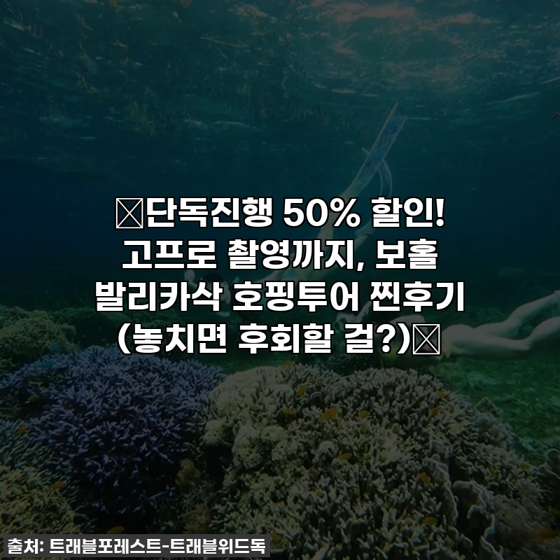 🔥단독진행 50% 할인! 고프로 촬영까지, 보홀 발리카삭 호핑투어 찐후기 (놓치면 후회할 걸?)🔥