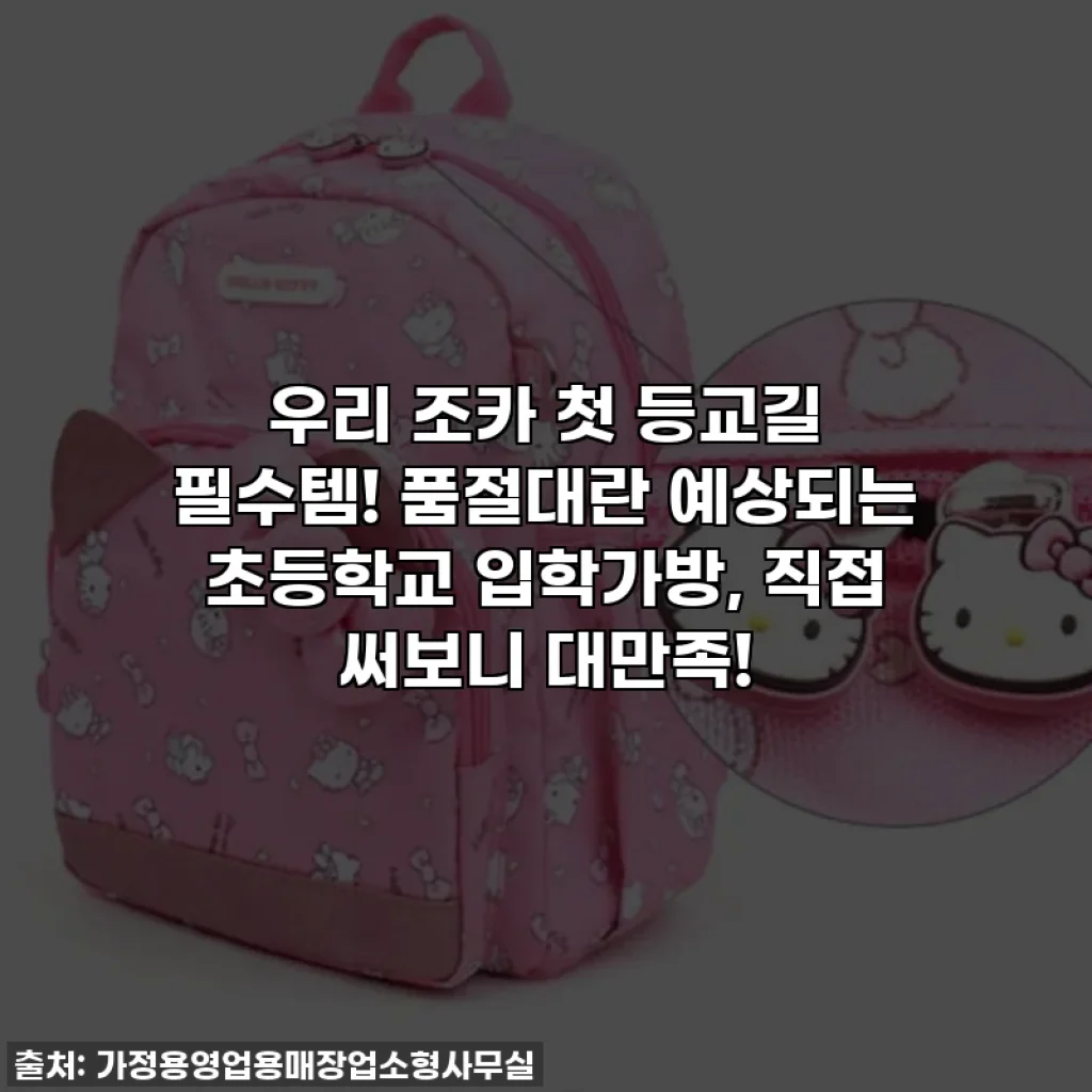 우리 조카 첫 등교길 필수템! 품절대란 예상되는 초등학교 입학가방, 직접 써보니 대만족!