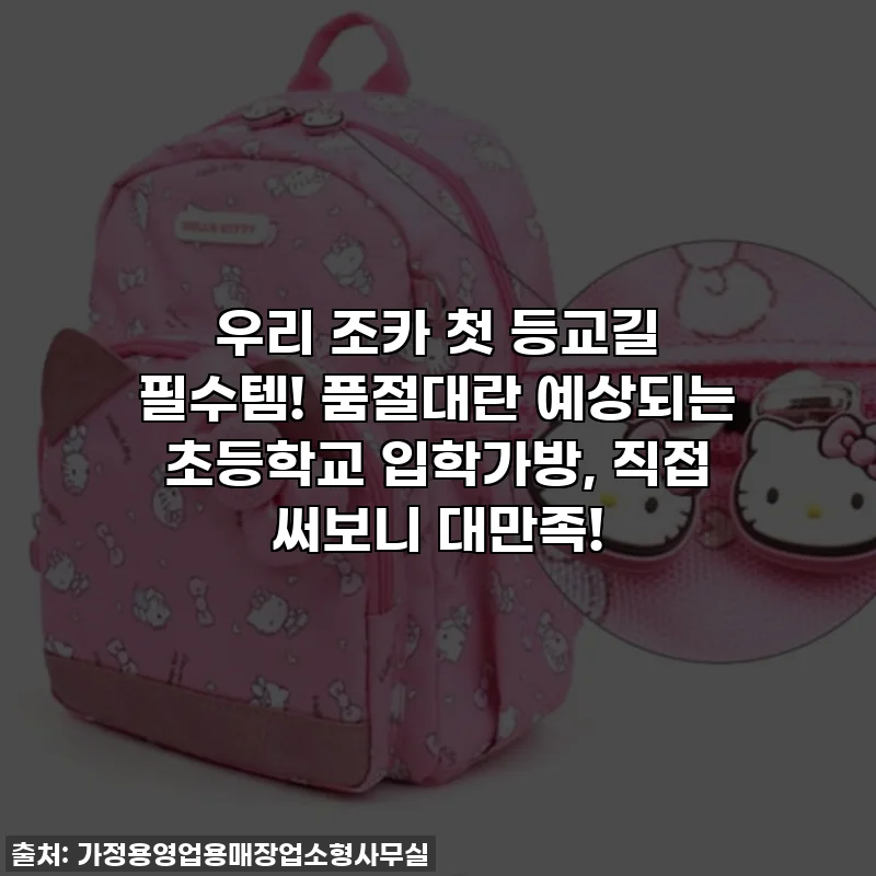 우리 조카 첫 등교길 필수템! 품절대란 예상되는 초등학교 입학가방, 직접 써보니 대만족!