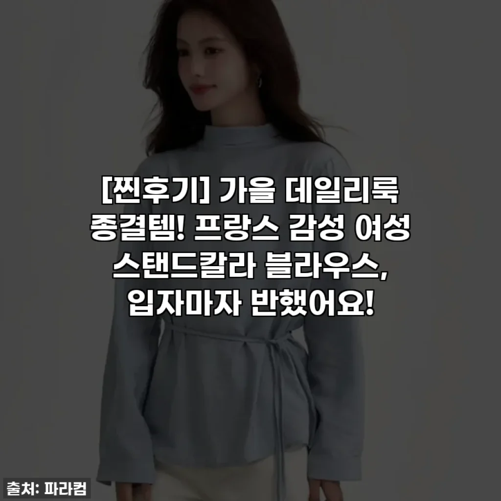 [찐후기] 가을 데일리룩 종결템! 프랑스 감성 여성 스탠드칼라 블라우스, 입자마자 반했어요!