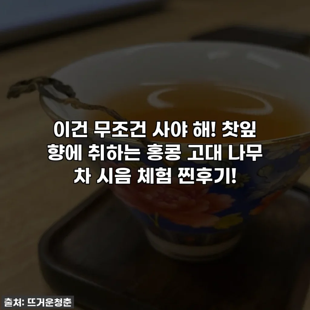 이건 무조건 사야 해! 찻잎 향에 취하는 홍콩 고대 나무 차 시음 체험 찐후기!