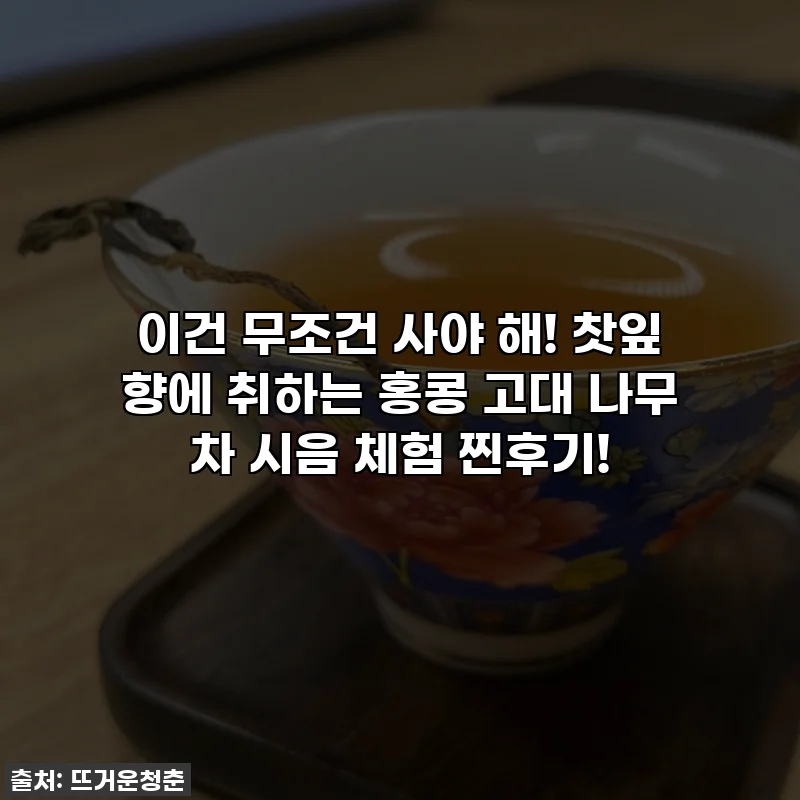 이건 무조건 사야 해! 찻잎 향에 취하는 홍콩 고대 나무 차 시음 체험 찐후기!