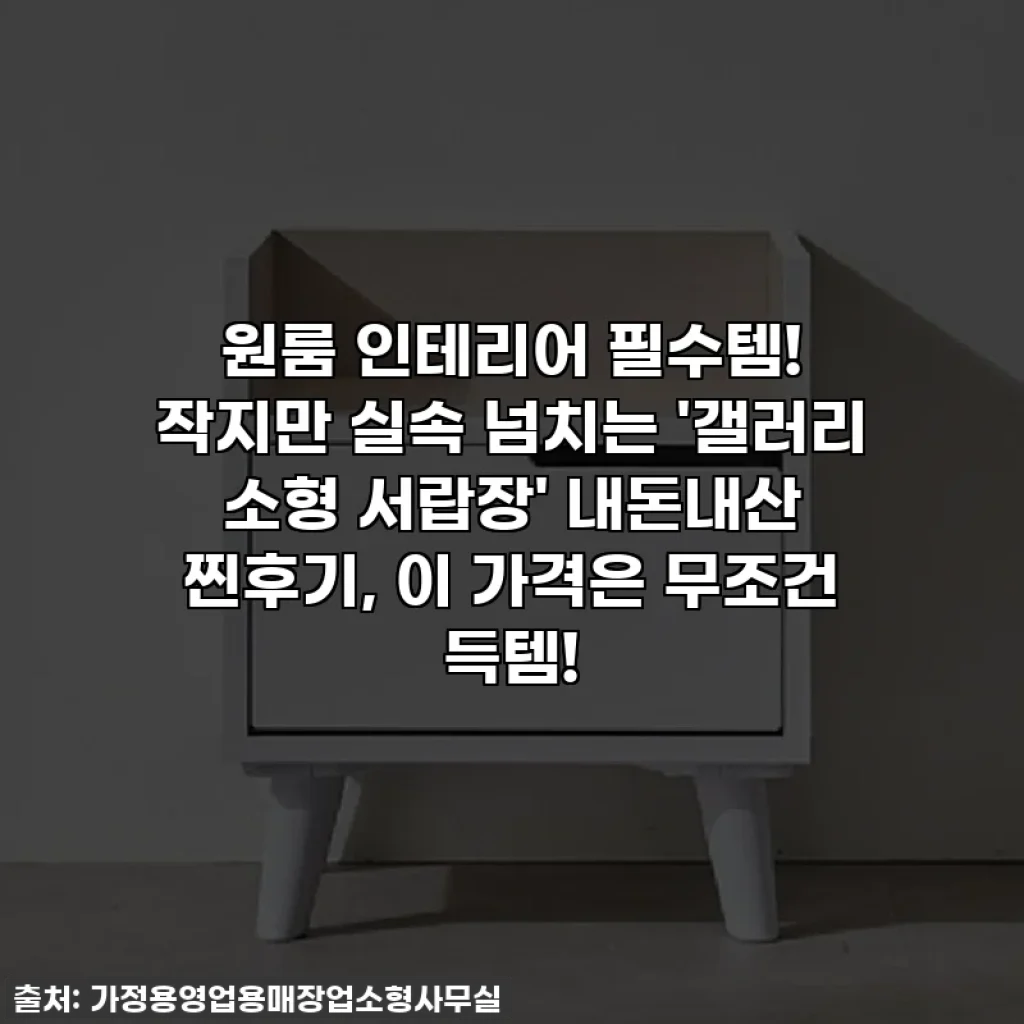 원룸 인테리어 필수템! 작지만 실속 넘치는 '갤러리 소형 서랍장' 내돈내산 찐후기, 이 가격은 무조건 득템!